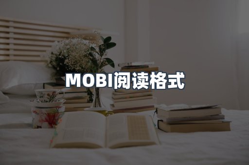 MOBI阅读格式